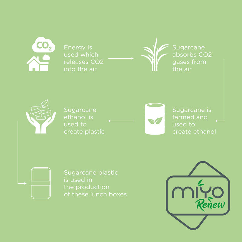 MIYO Renew kahekihiline einekarp