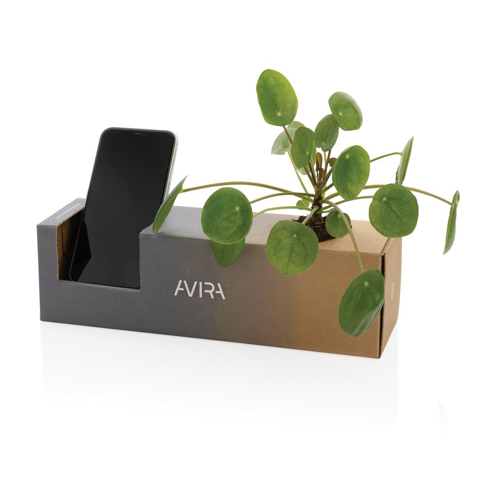 Joogipudel Avira Atik, 1 L