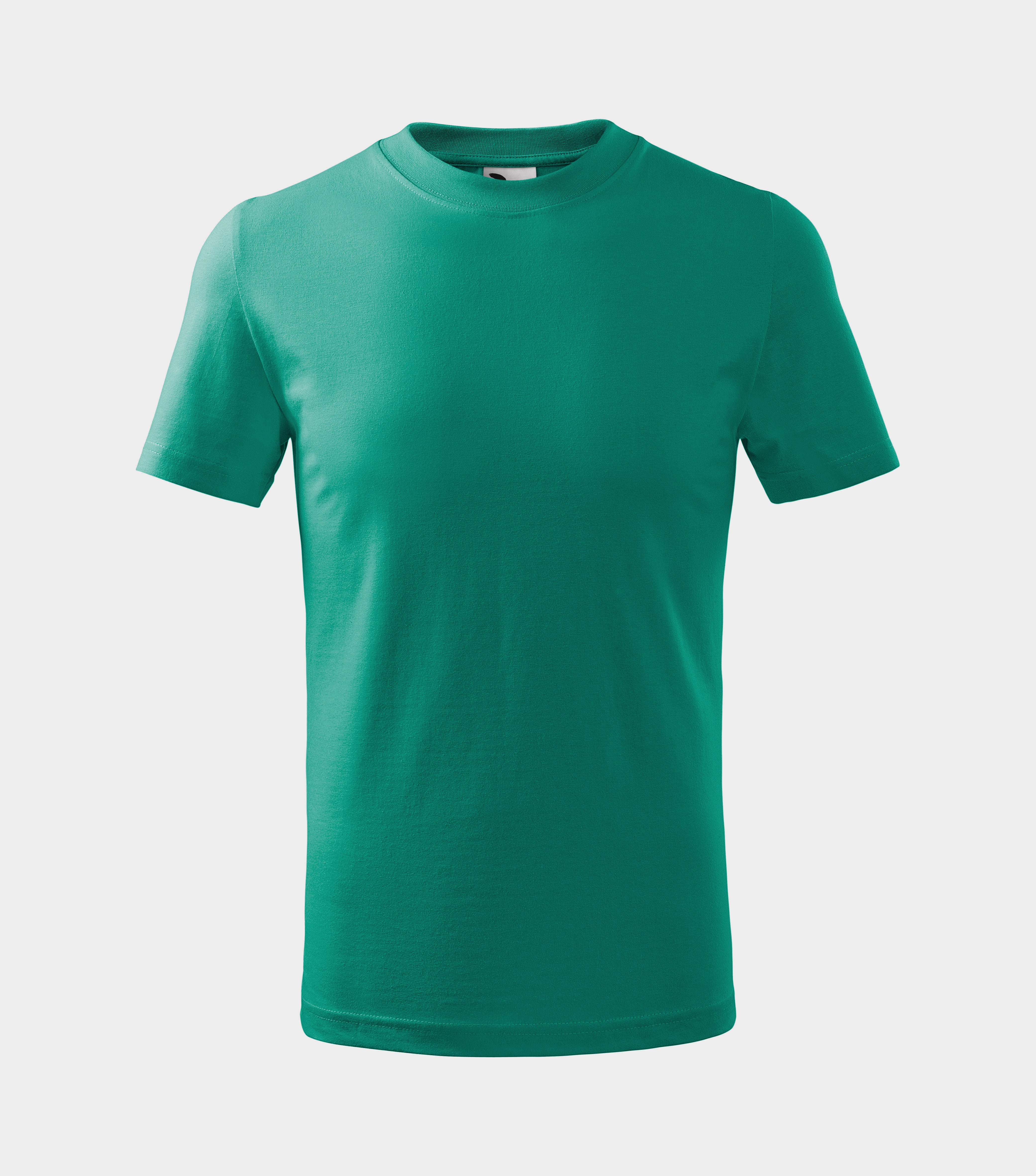 Laste T-särk Basic138 T-shirt Kids