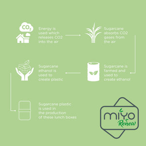 MIYO Renew kahekihiline einekarp