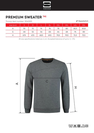 Meeste pusa Premium SweaterT41