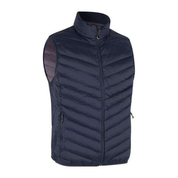 Meeste tepitud vest