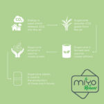 MIYO Renew kahekihiline einekarp