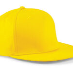 Lameda nokaga nokamüts Snapback B610